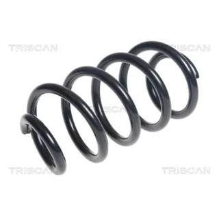 Triscan Feder hinten Dacia Logan
