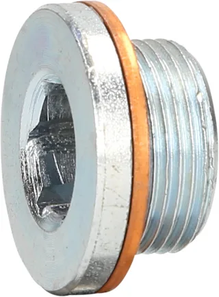 KS Tools Ölablassschraube M24 x 1,5 x 16 mm für Renault - 430.0601