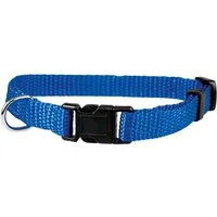 Schecker Hunde-Halsband Welpen Halsbänder - Ideal für Züchter - 4 Farben, Nylon, in 4 Farben wählbar