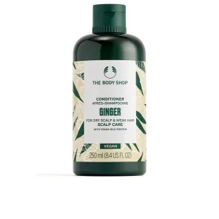 Ginger Spülung 250 ml