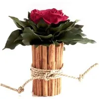 Kunstblumenstrauß Blumenstrauß Zimtbecher Infinity Rosen Blumengesteck, ROSEMARIE SCHULZ Heidelberg, Höhe 15 cm, Infinity Rosen, Made in Germany