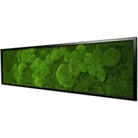 Moos-Design Bild Moosbild Fifty Fifty Design mit 50% Kugelmoos und 50% Flachmoos