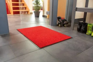Rot