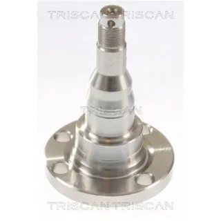 Triscan Radnabe Hinten Audi VW 853529021