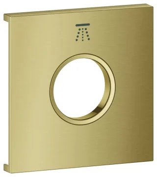 GROHE Metallplatte Grohtherm Aqua Tiles 106889, Symbol: Kopfbrause 3 cool sunrise geb., 106889GN00 106889GN00