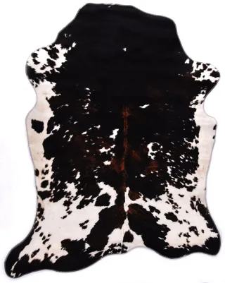 130 x 170 cm