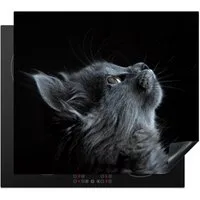 MuchoWow Herd-Abdeckplatte Katze - Licht - Schwarz, Vinyl, (1 tlg), Abdeckplatte für Ceranfeld, Herd Inductionsmatte, 57.6x51.6 cm