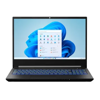 Medion Erazer Crawler E25 [156" Ryzen 5 5600H 33GHz 16GB RAM 1TB SSD NVIDIA GeForce RTX 3050 Ti Win 11 Home] schwarz
