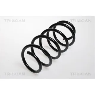 Triscan Feder vorne Opel Combo Corsa Tigra