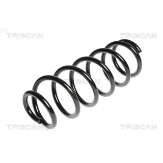Triscan Feder hinten Mazda 6 GY