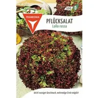 FRANKONIA Gemüsesamen Pflücksalat, Lollo Rossa - Saatgut Salat-Samen Samen, Lactuca sativa