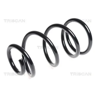 Triscan Feder vorne Ford Transit 2,2 TDCi 875016077