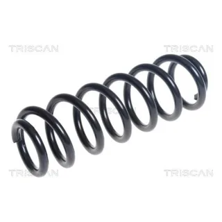 Triscan Feder hinten Audi A3 8V 875029492