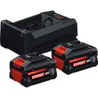 EXPERT Starter-Set 2x EXBA 18V-55 + Dual-Voltage-Ladegerät GAL 12V/18V-80 schwarz, 2x Li-Ionen Akku 5,5Ah, AMPShare Alliance