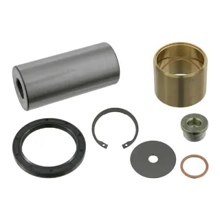 Febi Reparatursatz Achsschenkel 05869