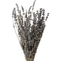 Trockenblume Duftender Lavendelstrauß für Dekoration und DIY Projekte, DIJK, Höhe 40 cm