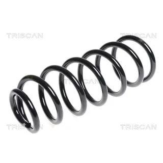 Triscan Feder hinten Citroen Berlingo C4 Peugeot 5008 Partner 875028172