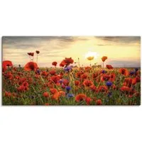 Artland Wandbild Mohnblumen, Blumen (1 St), als Alubild, Leinwandbild, Poster in verschied. Größen