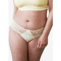 SugarShape String SUKI