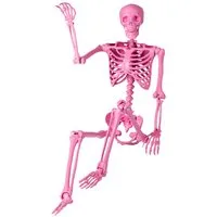 KOMFOTTEU Dekoobjekt, Halloween-Skelett mit 7 beweglichen Gelenken und Aufhängekordel