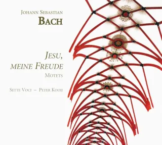 Jesu Meine Freude-Motetten Bwv 225-230/B