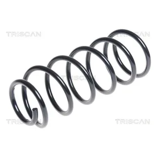 Triscan Feder hinten Hyundai I20 87504374