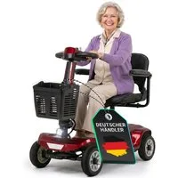 eFlux Elektromobil eFlux Mobility M1 Elektromobil Rollator, 250 W, (Senioren Elektromobil, E-Scooter Senioren, Mobilitätshilfe Senioren, Krankenfahrstuhl elektrisch, Seniorenscooter, Mobility Scooter, Elektromobil, Seniorenmobil, Elektro ScooterSenio