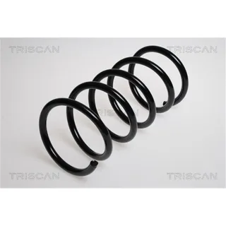 Triscan Feder hinten Volvo S60 S80