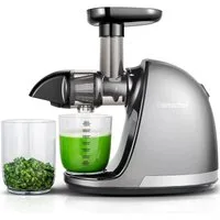 AMZCHEF Slow Juicer ZM1501, 150,00 W, Saftpresse Elektrisch, Entsafter Gemüse und Obst BPA Frei