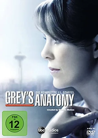 Grey's Anatomy: Die jungen Ärzte - Die komplette 11. Staffel [6 DVDs]