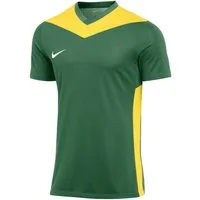 Nike Fußballtrikot Nike Performance Park Derby IV Trikot Trikots Teamsport