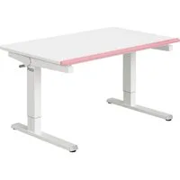 PAIDI Schreibtisch TEENIO in verschiedenen Ausführungen, mitwachsend & ergonomisch (B/H/T ca. 120/53-79/75 cm, Kreideweiß), höhenverstellbarer Schülerschreibtisch, Platte bis 14° neigbar