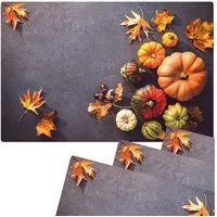 matches21 HOME & HOBBY Platzset Abwaschbare Tischsets 4er Set Herbst-Laub & Kürbisse, (4-St), Platzsets als Tisch-Untersetzer und Tisch-Deko für Esstisch Teller