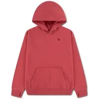 Abercrombie Kids Kapuzensweatshirt AFB ESSENTIALS FLEECE HO mit Logo-Stickerei, for boys