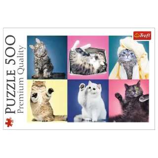 Trefl Puzzle 37377 - Kätzchen [500 Teile]