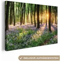 OneMillionCanvasses® Leinwandbild Wald - Blumen - Lavendel - Sonne - Lila - Natur, Fotodruck (1 St), Leinwand Bilder Klein, Wand Dekoration Aesthetic 30x20 cm