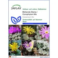 SAFLAX Blumensamen SAFLAX - Samen - Blühende Steine / Conophytum Mix