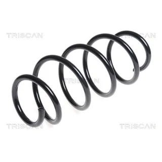 Triscan Feder vorne VW Polo 9N 875029305