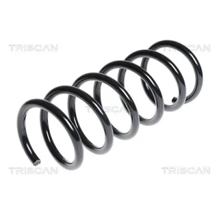 Triscan Feder hinten Ford Mondeo 4 875016083