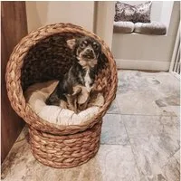 PawHut Tierhaus Rattan Katzenkorb Katzenhöhle Wasserhyazinthe Braun, 50L x 42B x 60H cm