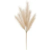 Kunstblume Pampasgras Kunstgras Dekogras Kunststoff 91 cm 1 Stk beige, matches21 HOME & HOBBY, Höhe 91 cm