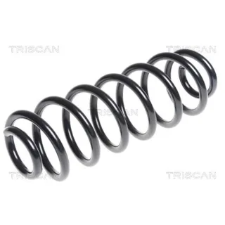 Triscan Feder hinten Skoda Superb VW Golf 875029314