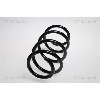 Triscan Feder vorne Citroen Fiat Peugeot 875015125
