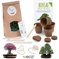 HappySeed Blumensamen Bonsai Anzuchtset inkl. eBook - Pflanzset mit Wüstenrose + Mammutbaum, Bonsai