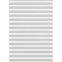 Rollo Doppelrollo Hellgrau 160x230 cm Stoffbreite 155,9 cm Polyester, vidaXL