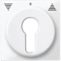 Zentralplatte für Rollladeneinsatz, Ausführung Key Switch, glänzend, Thermoplast weiß (glänzend), Retail