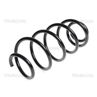 Triscan Feder vorne Citroen Berlingo C4 Peugeot Partner 875028127