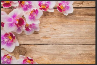Fussmatte Orchidee 4613 | Größe: 120 cm x 200 cm