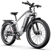 DUOTTS E-Bike Cityrad F26lite Pedelec Damen u. Herren 48V 864Wh 100km 20x4,0 Elektrisches, 7 Gang Shimano Schaltwerk, Kettenschaltung, Heckmotor, 864 Wh, Fat-Tire E-Mountainbike