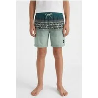 O'Neill Badeshorts O'NEILL LOGO STRIPE SWIMSHORTS mit Eingrifftaschen, schnell trocknend